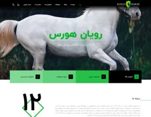 Royan Horse Branding and Digital Marketing Project