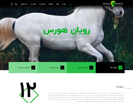 Royan Horse Portfolio